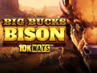 Big Bucks Bison 10K WAYS thumbnail